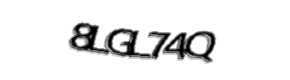 Security check image, please type the characters shown
